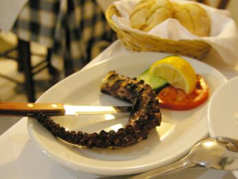 ミコノス島Antoniniで食したタコのグリル